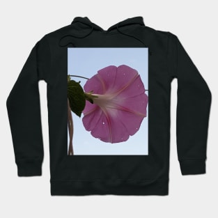 Glorious - pink morning glory, white sky Hoodie